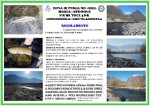 NUOVA ZONA NO-KILL 